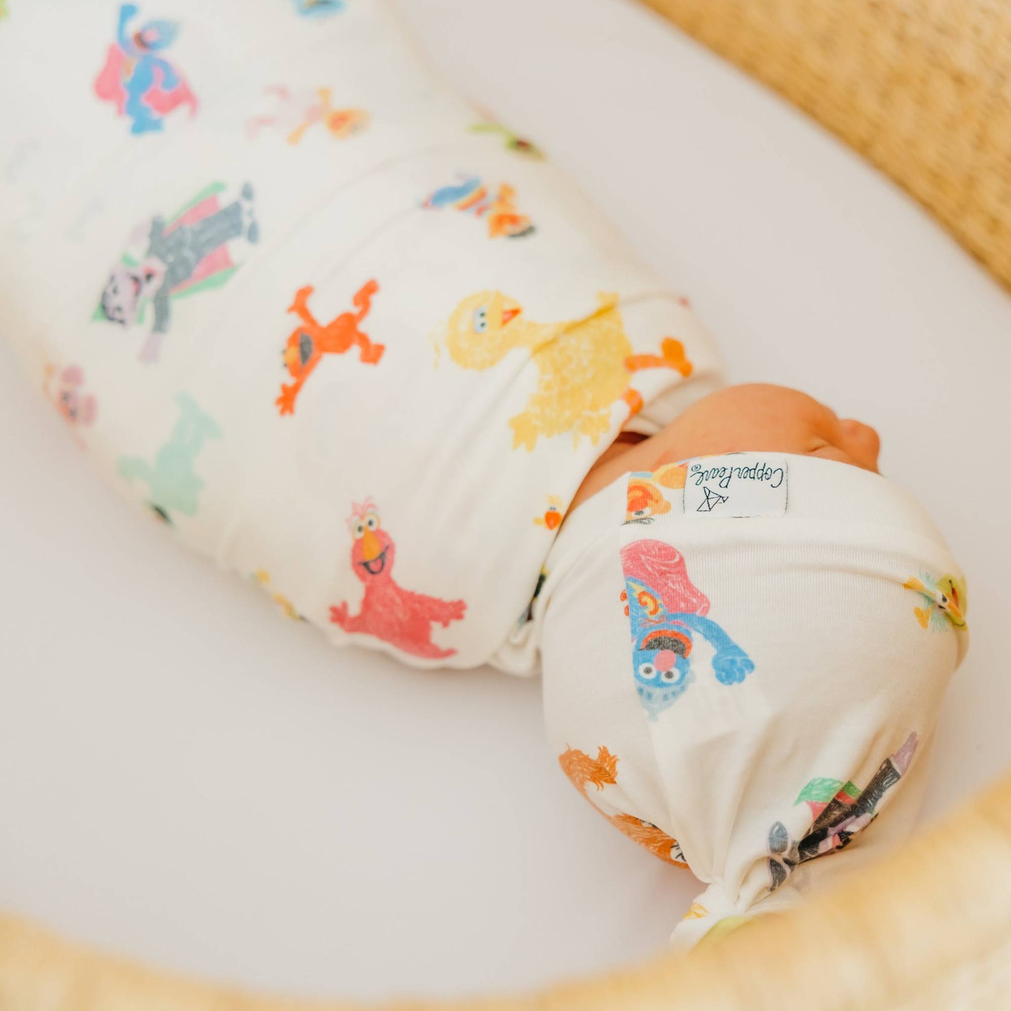 Knit Swaddle Blanket - Sesame Friends