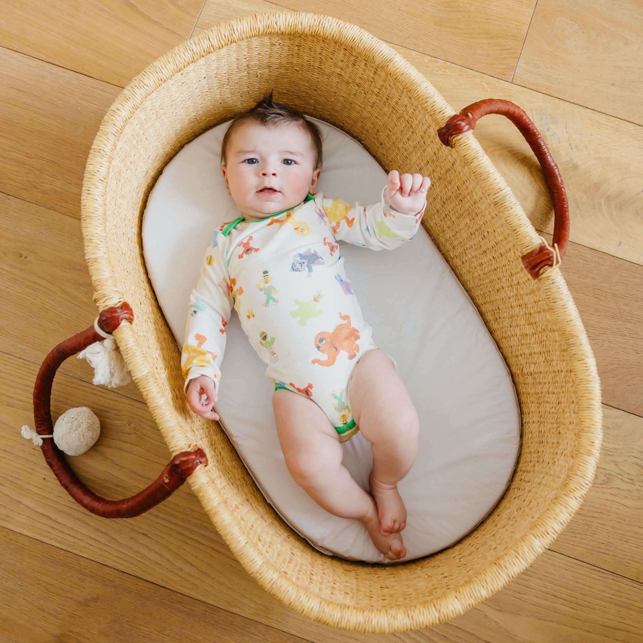 Long Sleeve Bodysuit - Sesame Friends