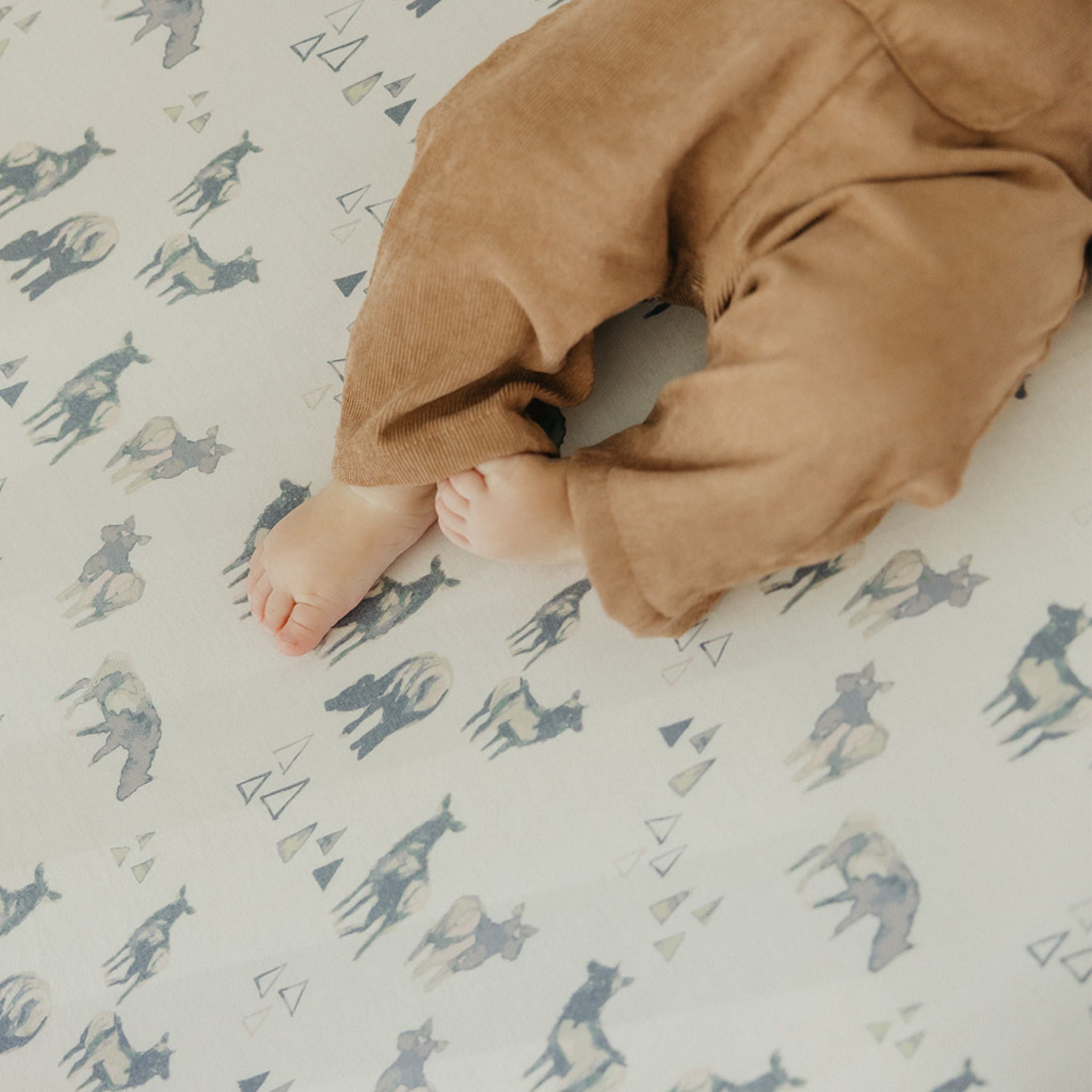 Premium Knit Fitted Crib Sheet - Cody