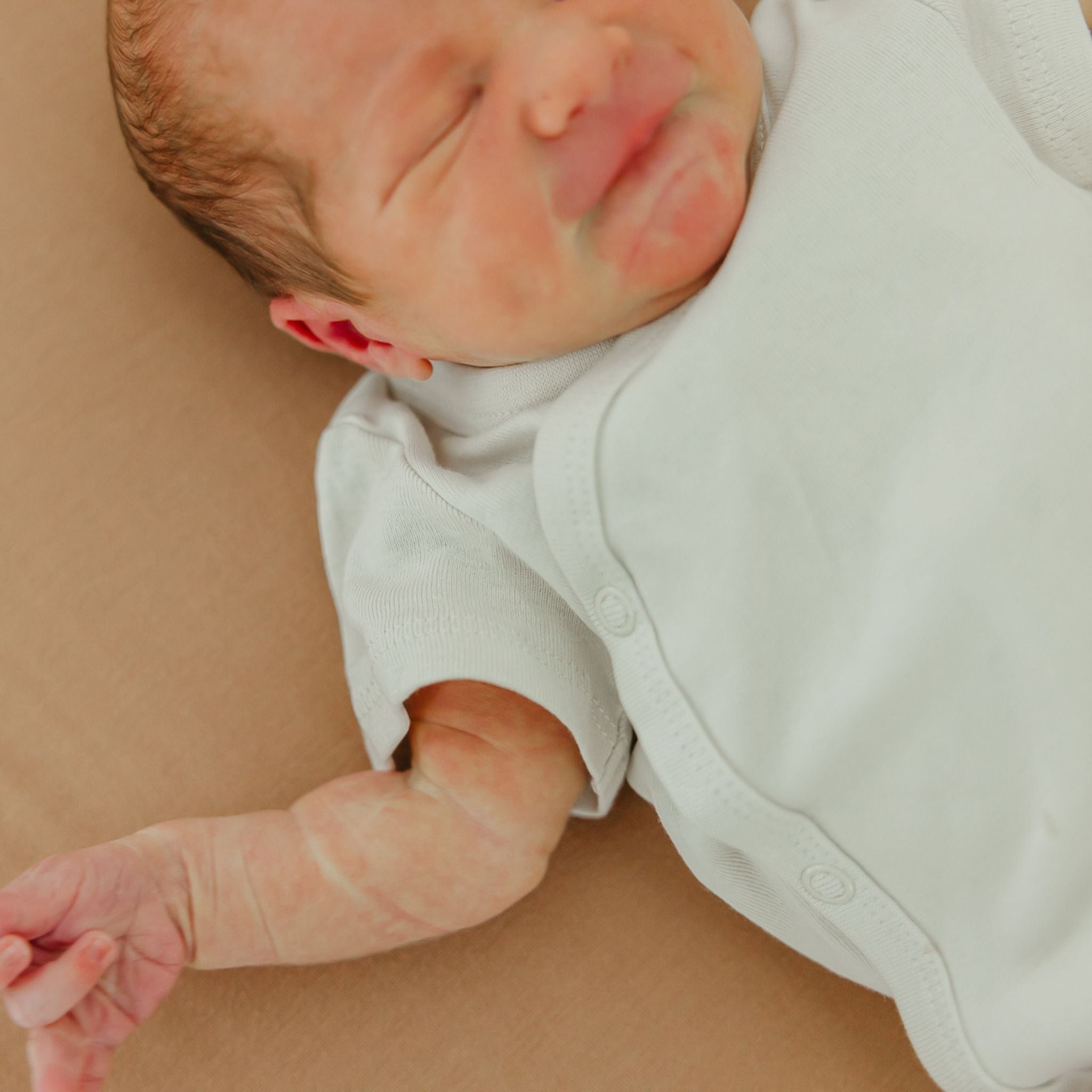 Premium Knit Fitted Crib Sheet - Pecan