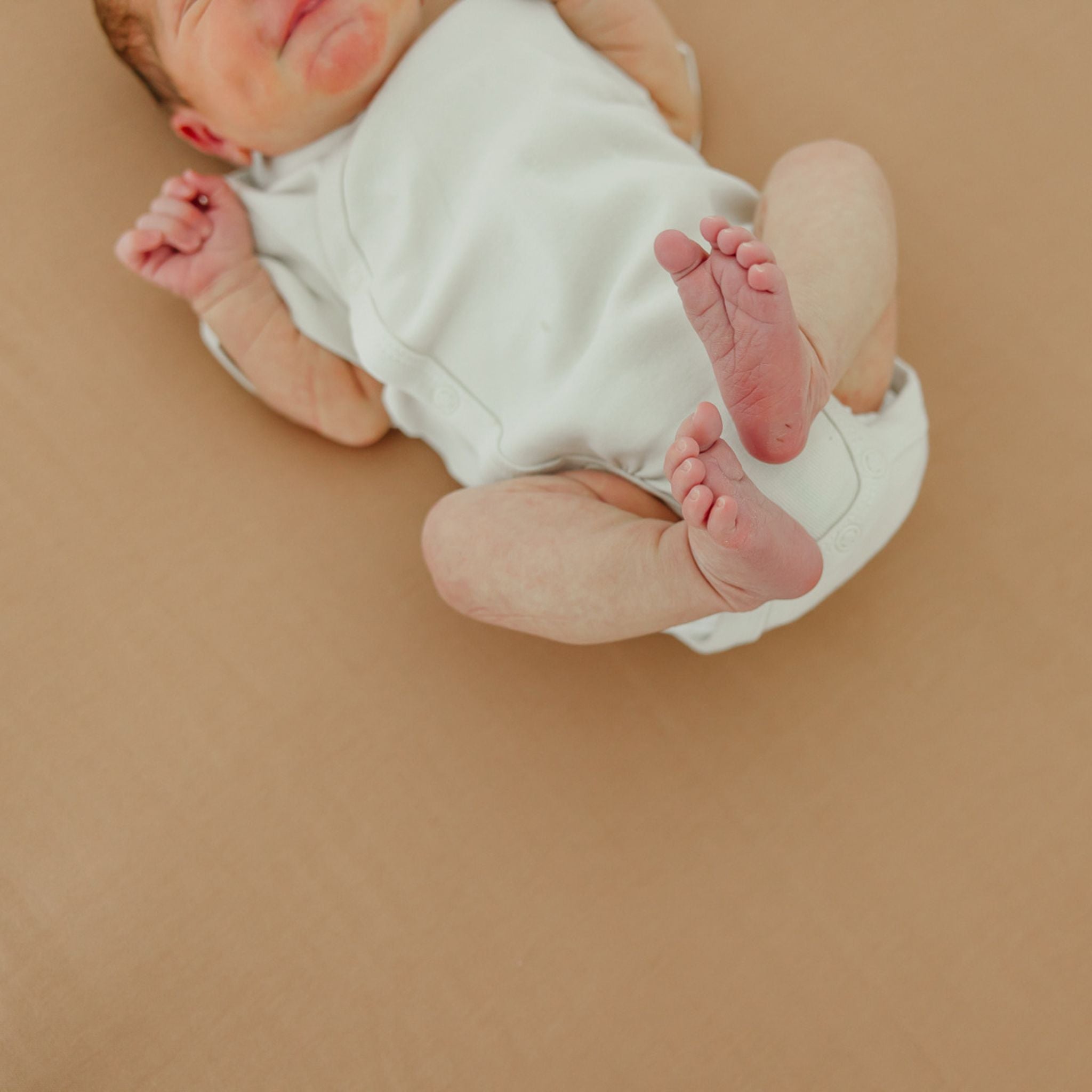 Premium Knit Fitted Crib Sheet - Pecan