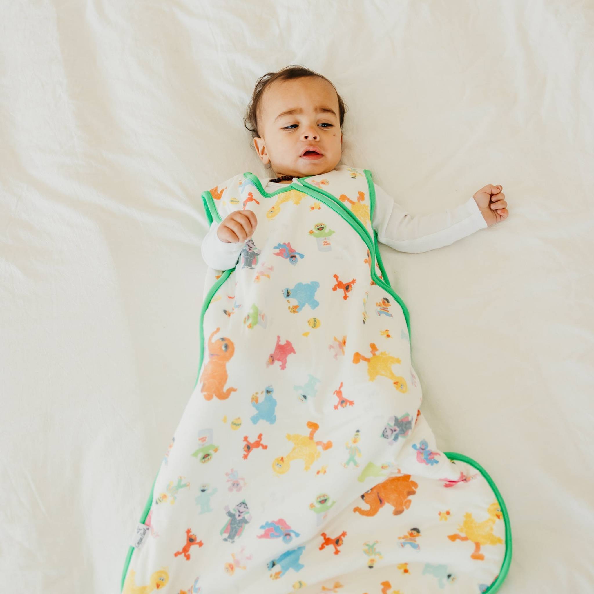 Sleep Bag - Sesame Friends