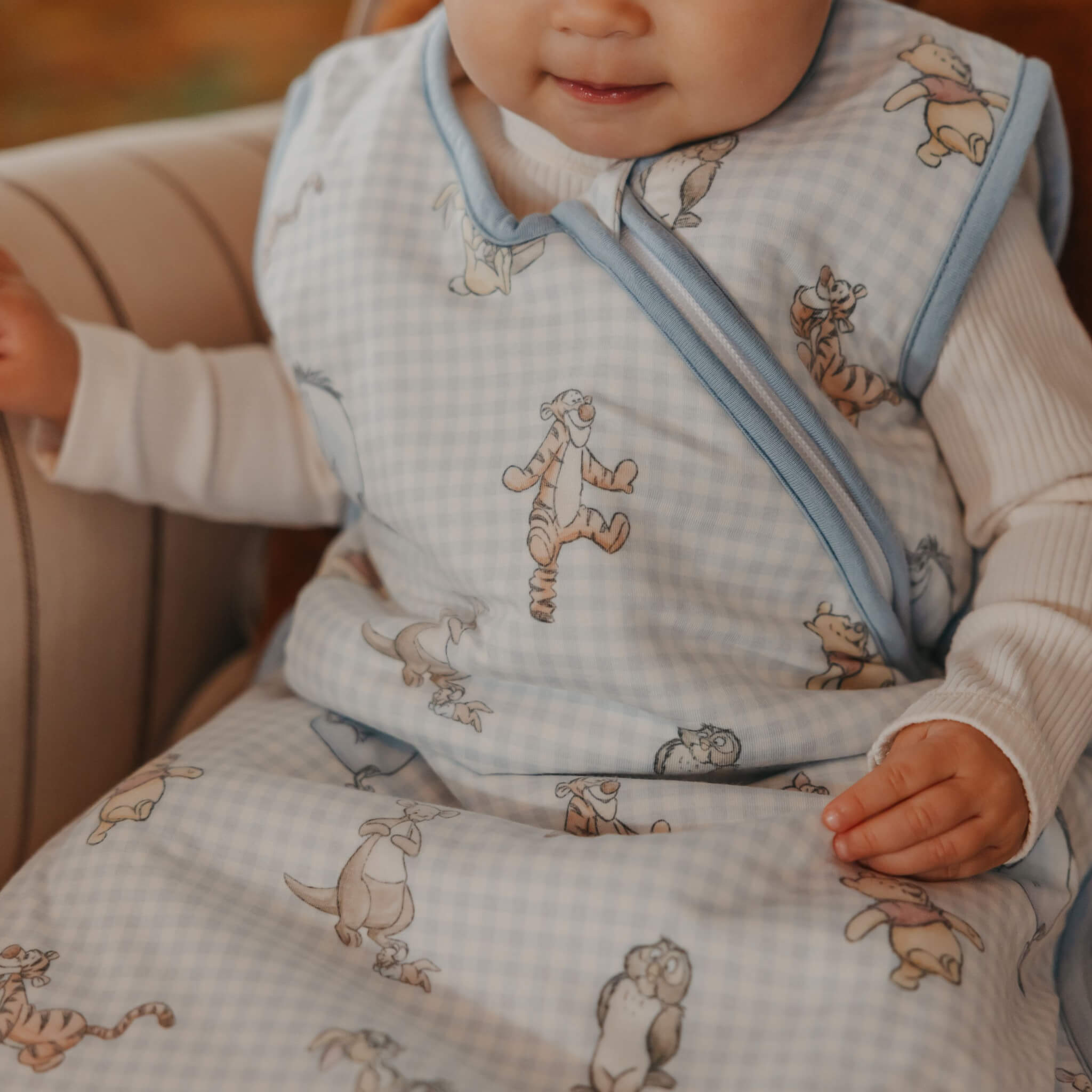 Sleep Bag - Winnie the Pooh and Friends