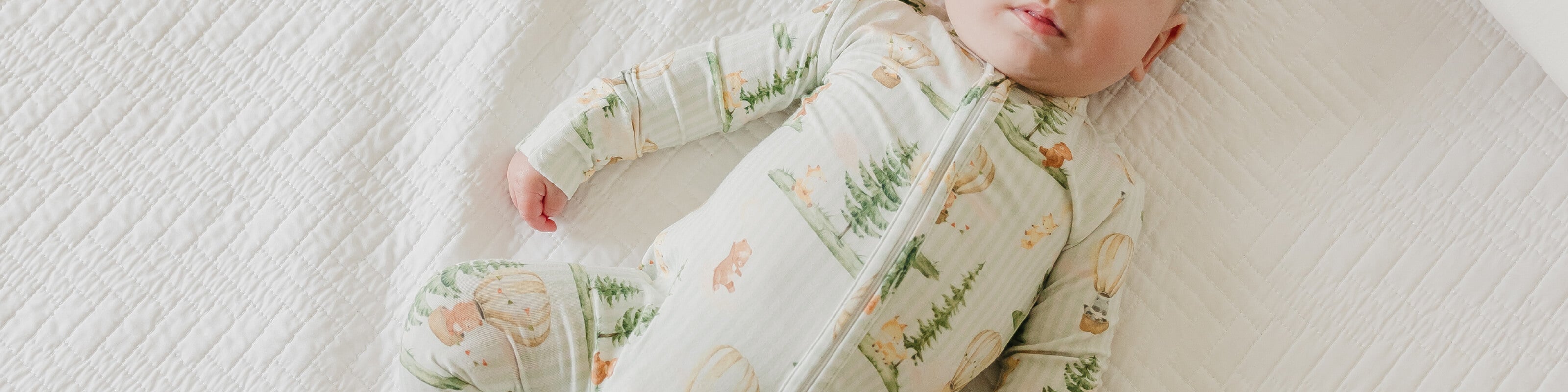 Forest Explorer Banner