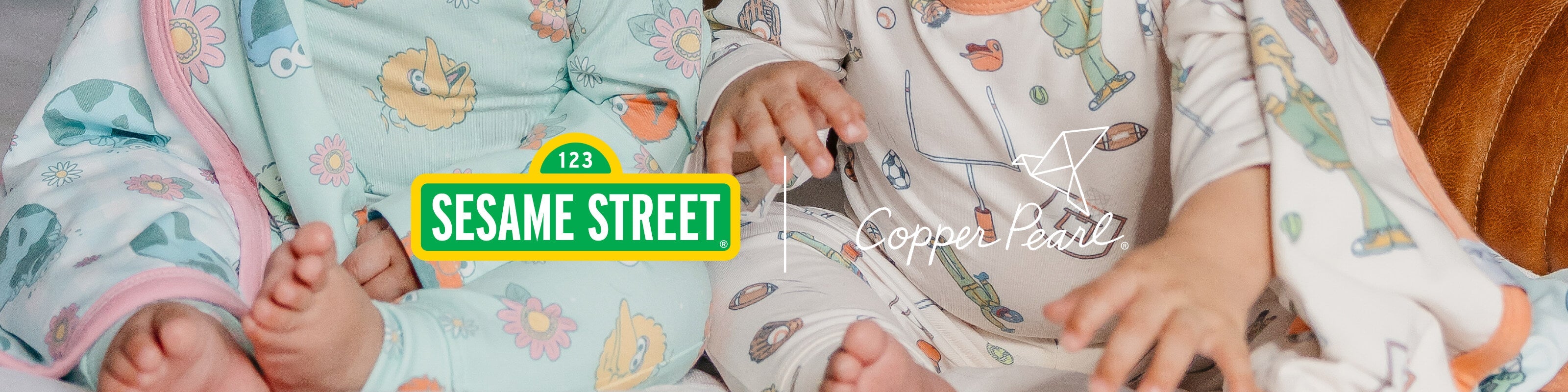 New In: Sesame Street