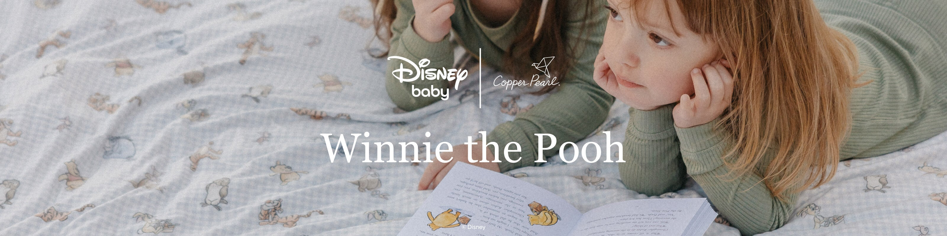 Disney Winnie the Pooh