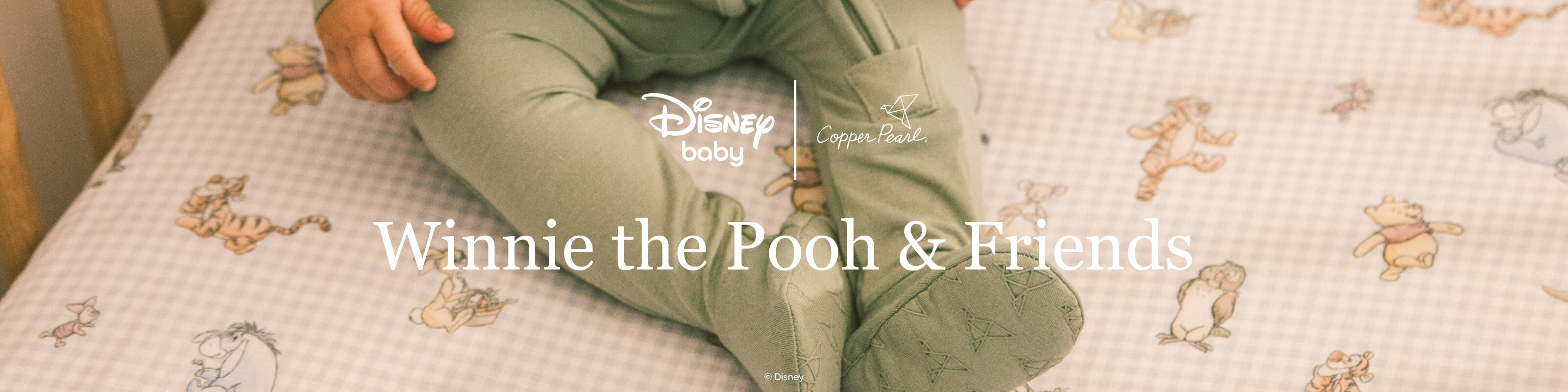 Winnie the Pooh and Friends