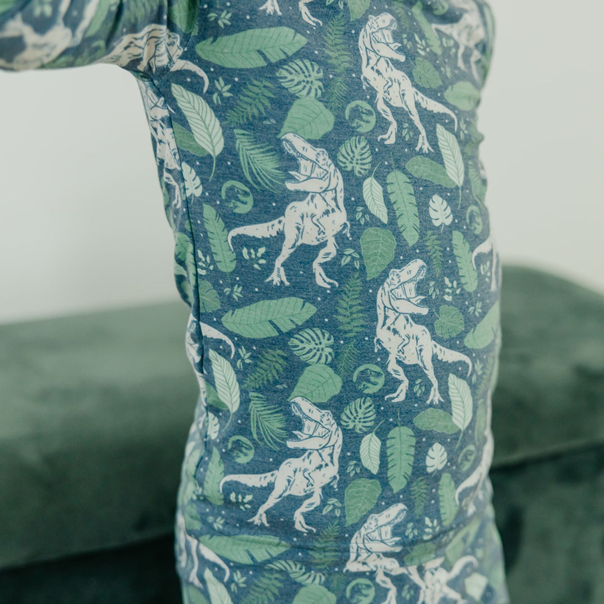 2pc Long Sleeve Pajama Set - Jurassic Park