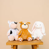 Squish Plush - Colby