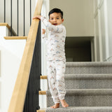 2pc Long Sleeve Pajama Set - Ryder