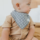 Baby Bandana Bibs - Bridger