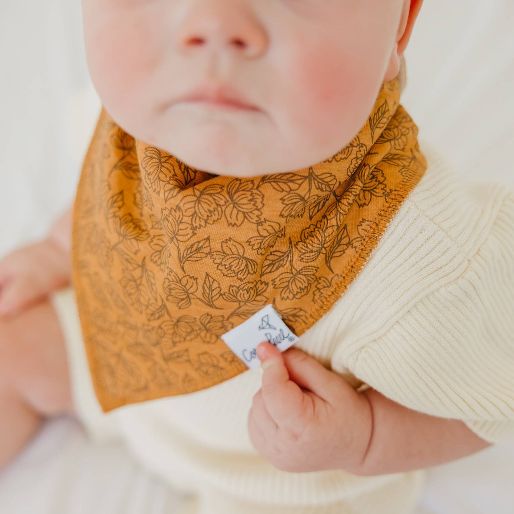 Baby Bandana Bibs - Eden