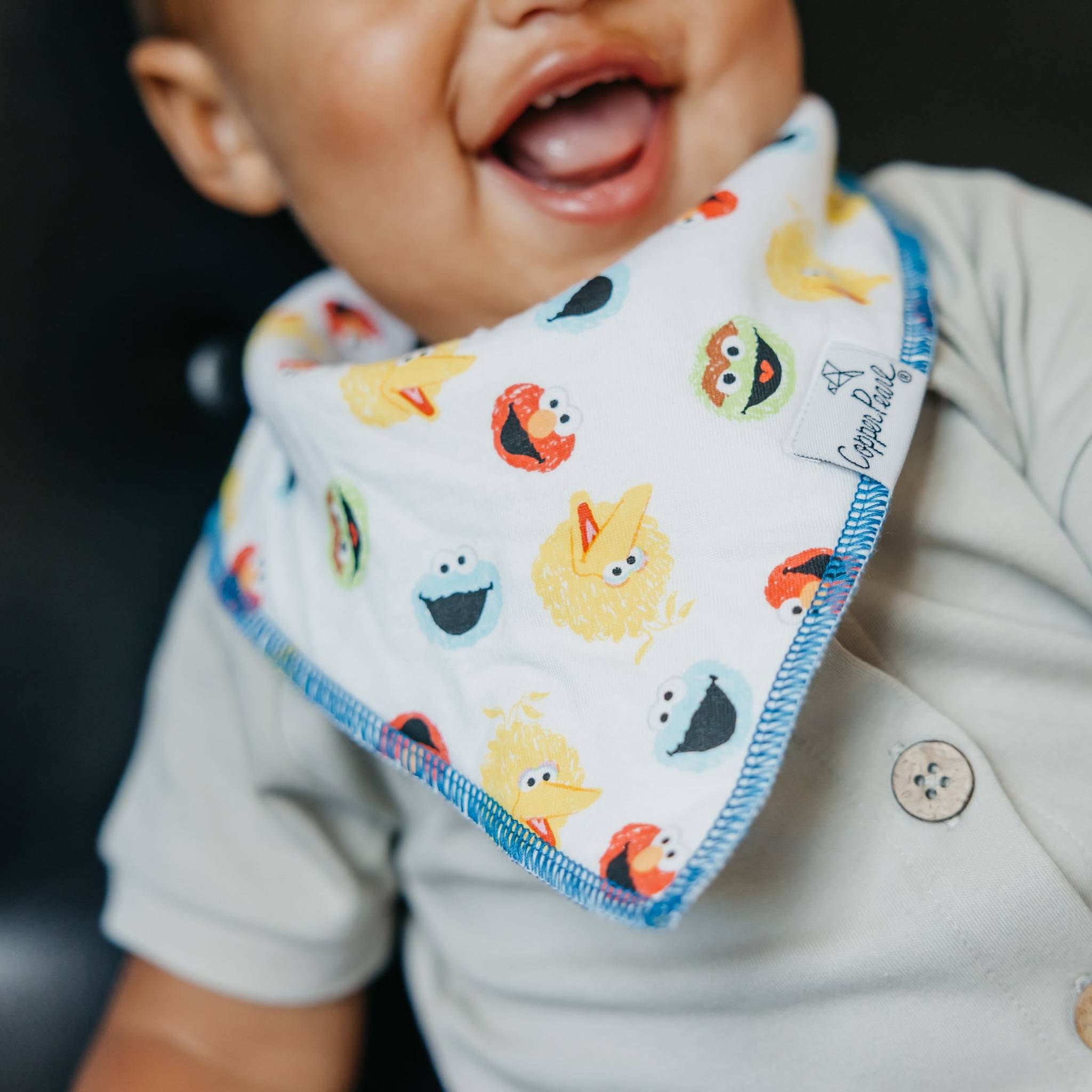 Baby Bandana Bibs - Elmo