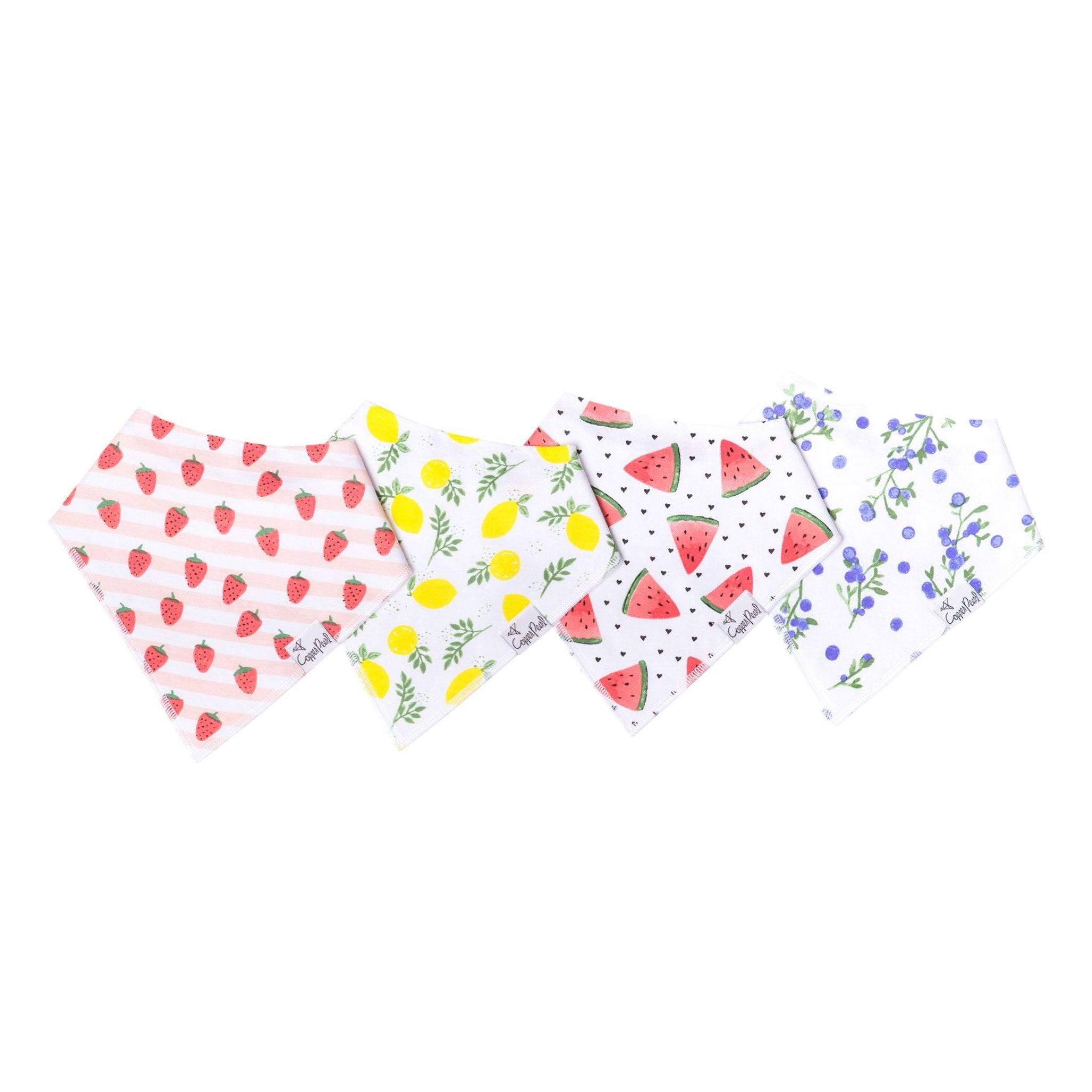 Baby Bandana Bibs - Georgia