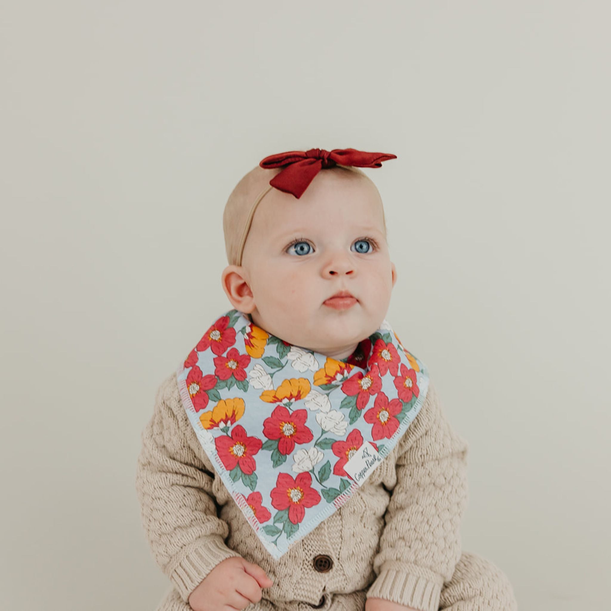 Baby Bandana Bibs - Ivy