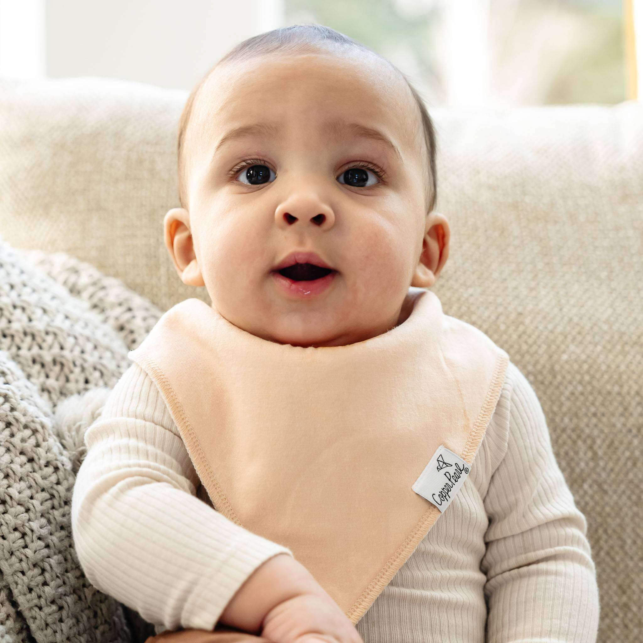 Baby Bandana Bibs - Ryder