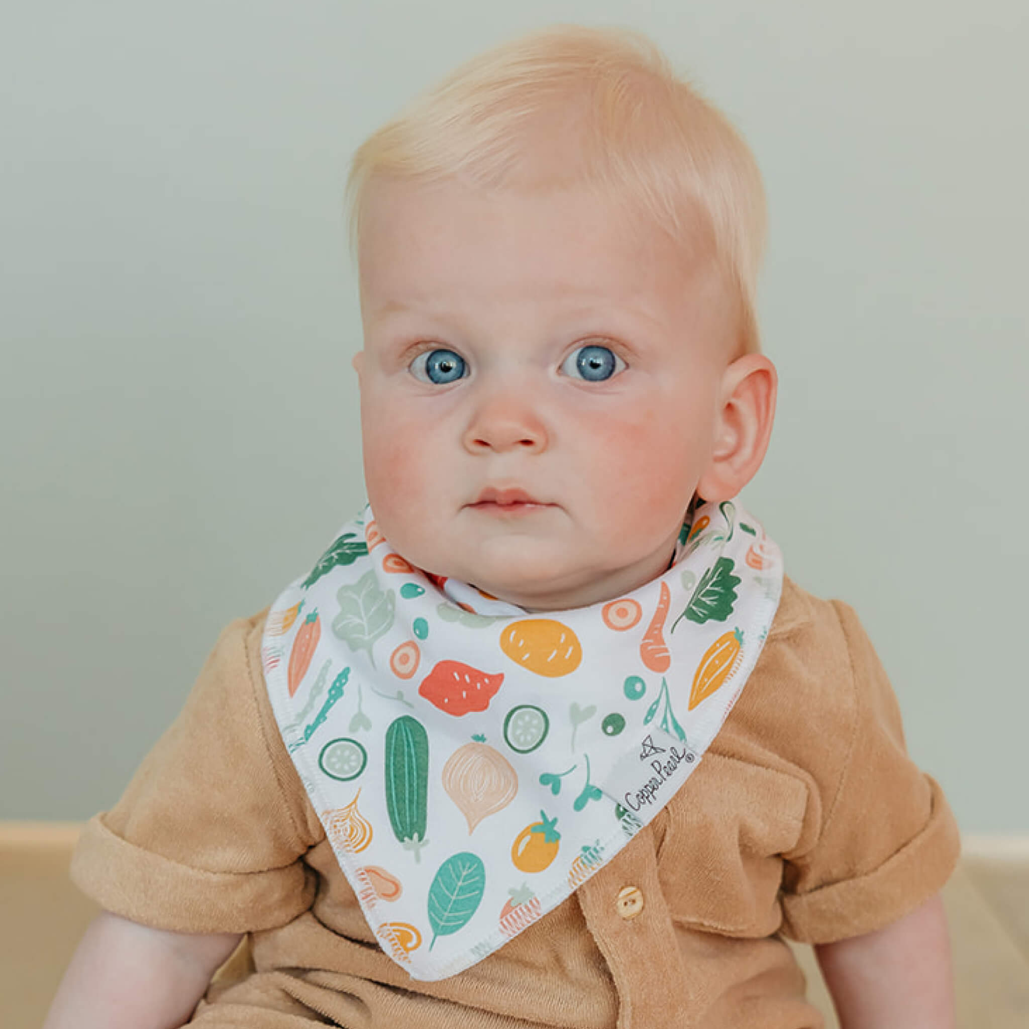 Baby Bandana Bibs - Veggies