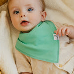 Baby Bandana Bibs - Veggies