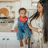 Baby Bandana Bibs - Boone
