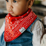 Baby Bandana Bibs - Boone