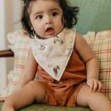 Baby Bandana Bibs - Cheyenne