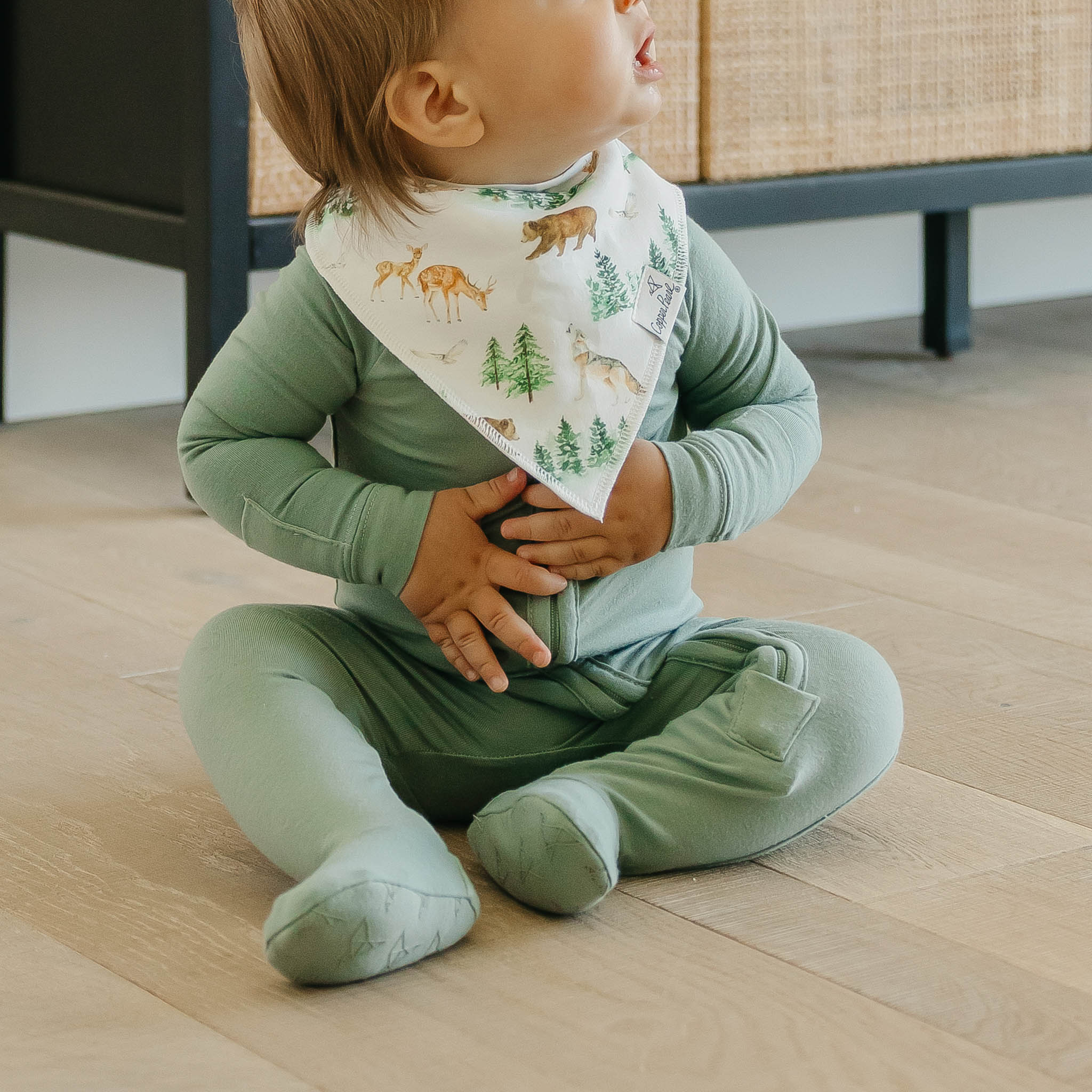 Baby Bandana Bibs - Wilder