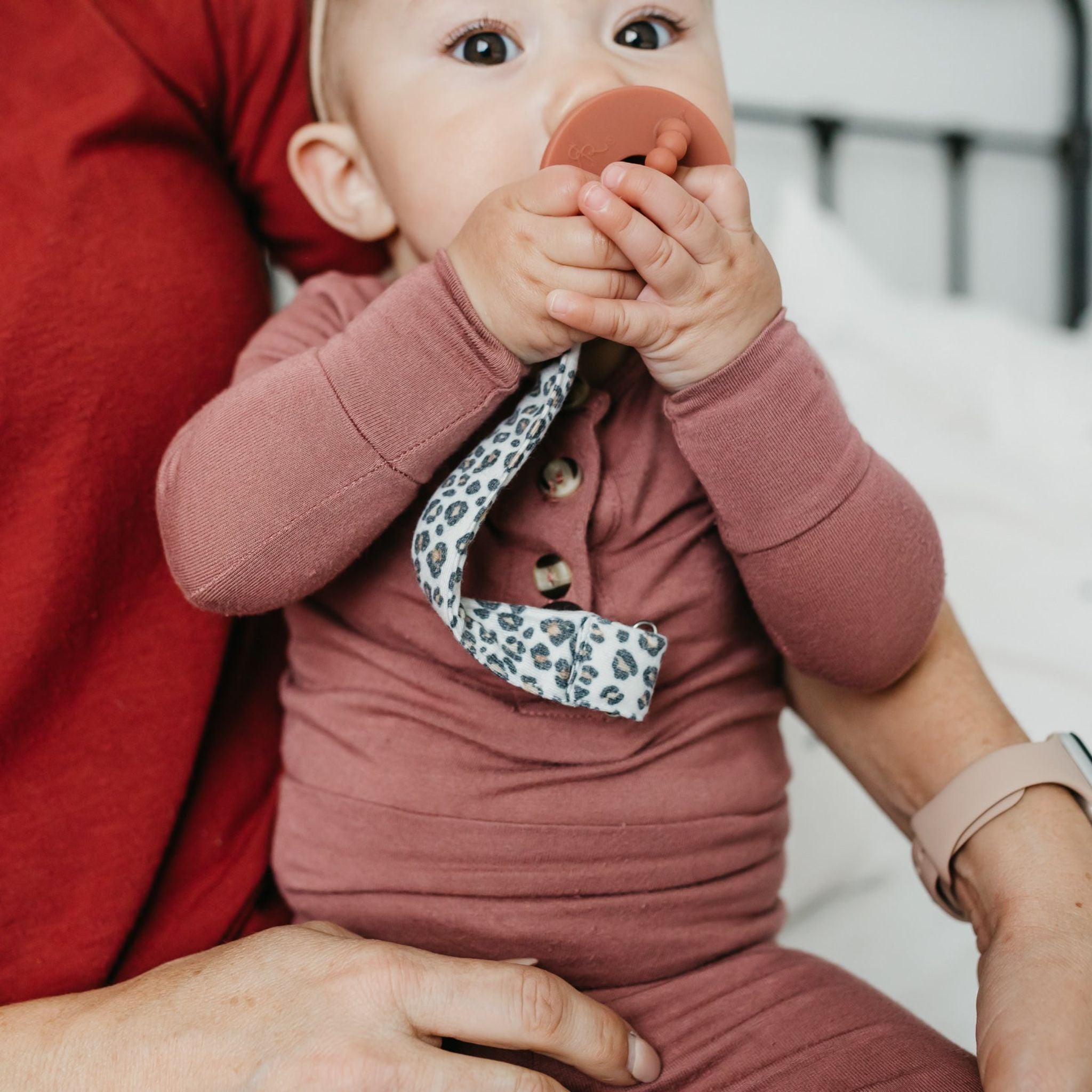 Binky Clips - Zara