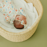 Bowtie Baby Bow - Webster
