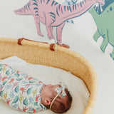 Ribbon Baby Bow - Dinosaurs of Jurassic Park