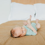 Short Sleeve Bodysuit - Briar