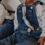 Binky Clips - Hundred Acre Wood