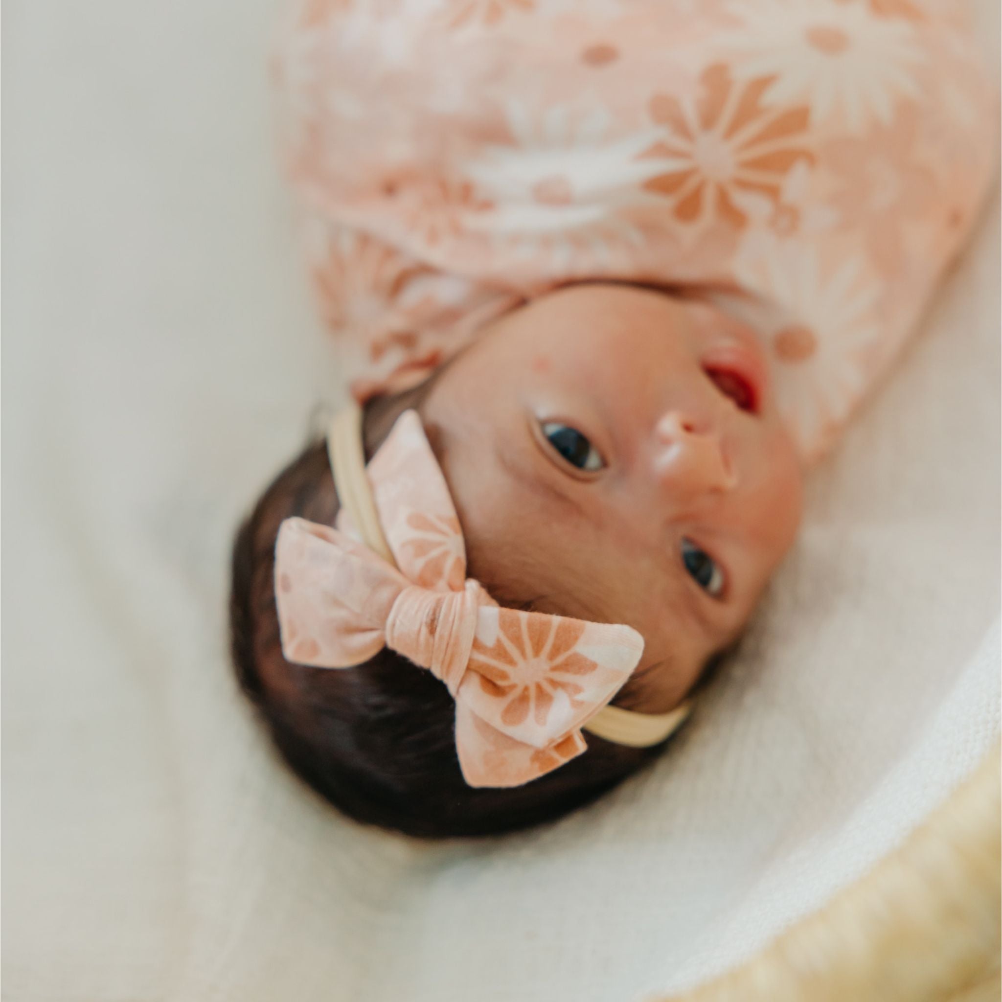 Classic Nylon Bow - Penny