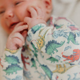 Zip-Up Footie Pajama - Dinosaurs of Jurassic Park