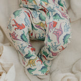 Zip-Up Footie Pajama - Dinosaurs of Jurassic Park