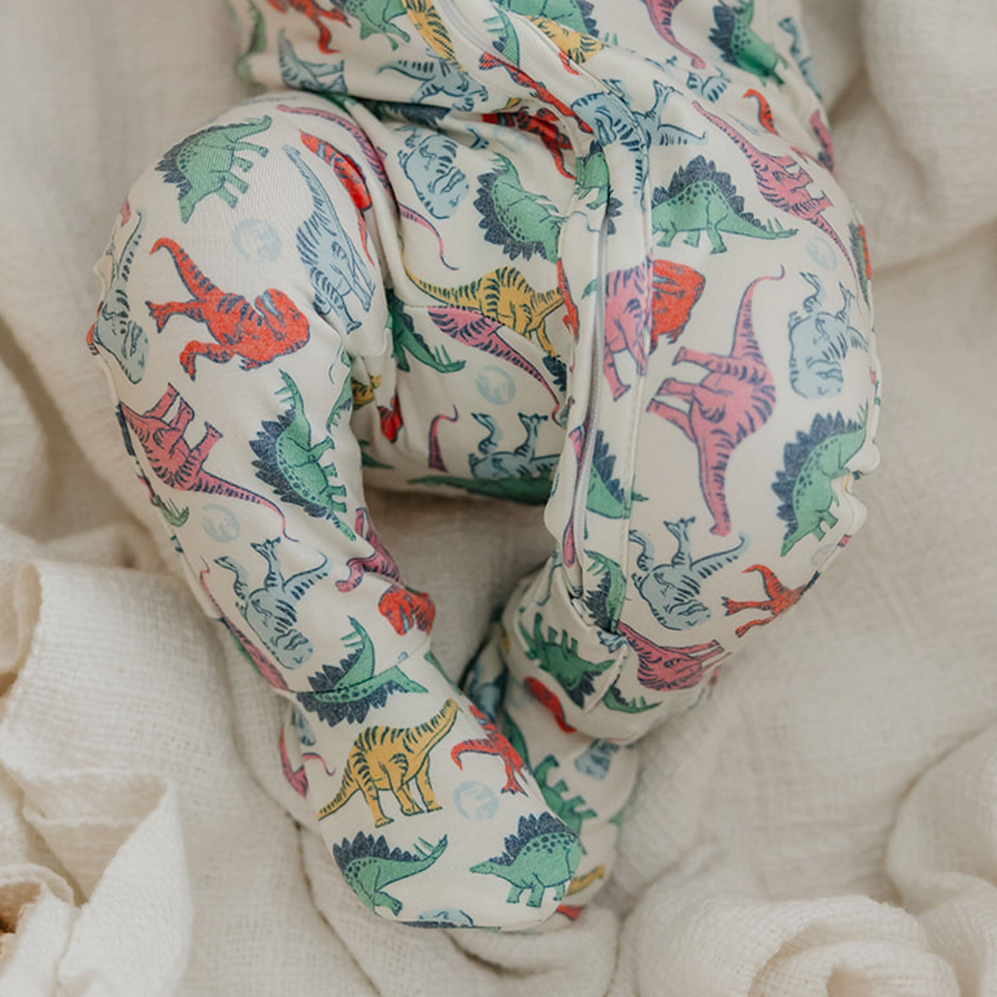 Zip-Up Footie Pajama - Dinosaurs of Jurassic Park