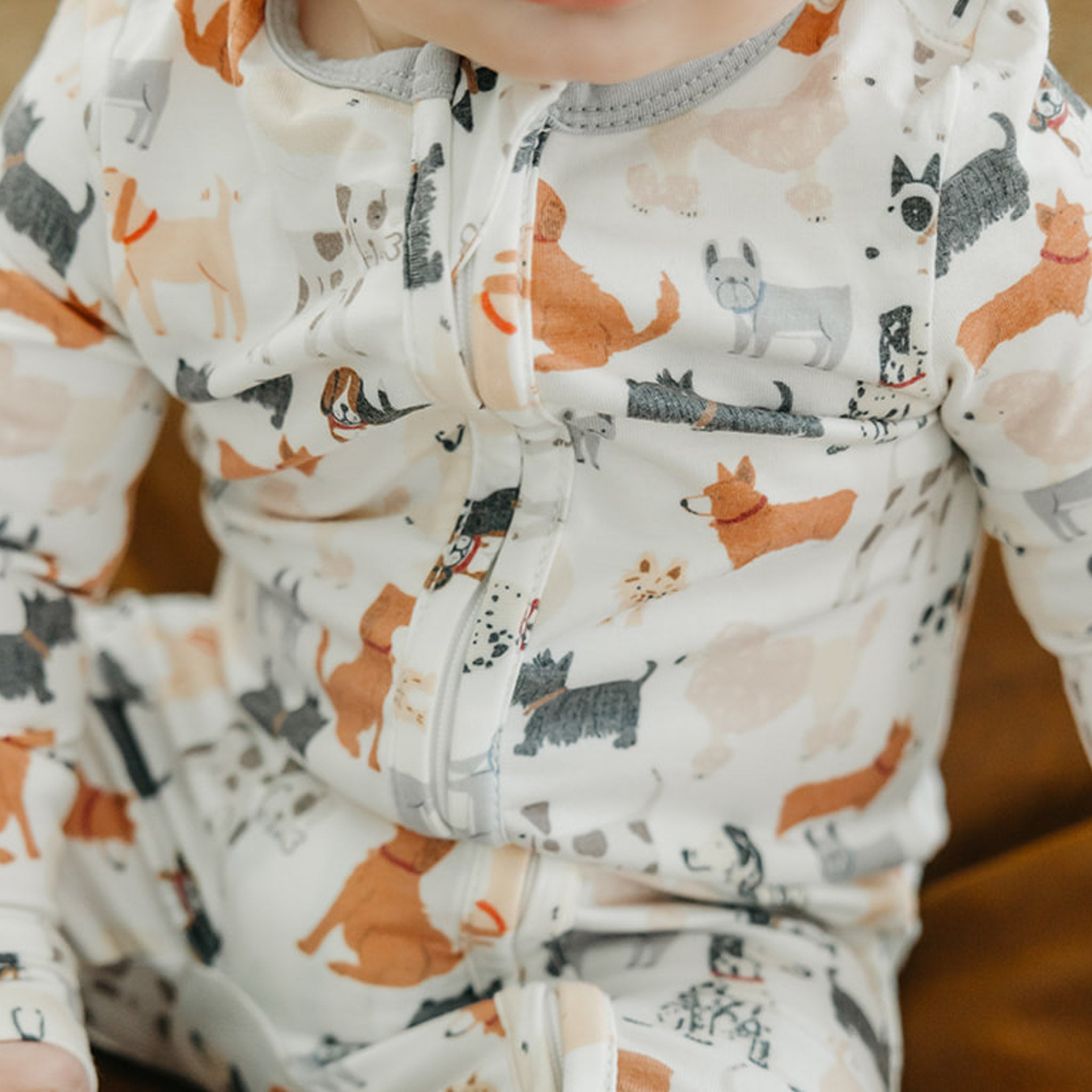 Zip-Up Footie Pajama - Rufus