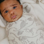 Knit Swaddle Blanket - Jurassic Park Fossils
