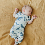 Baby Pants - Cove