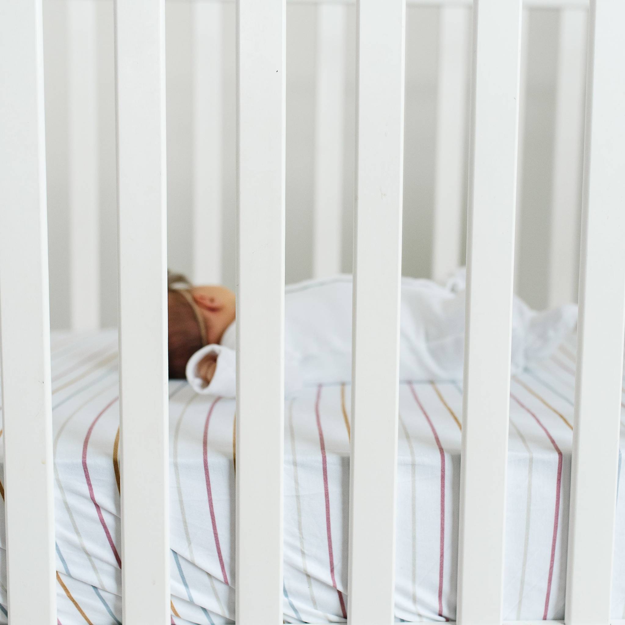 Premium Knit Fitted Crib Sheet - Piper