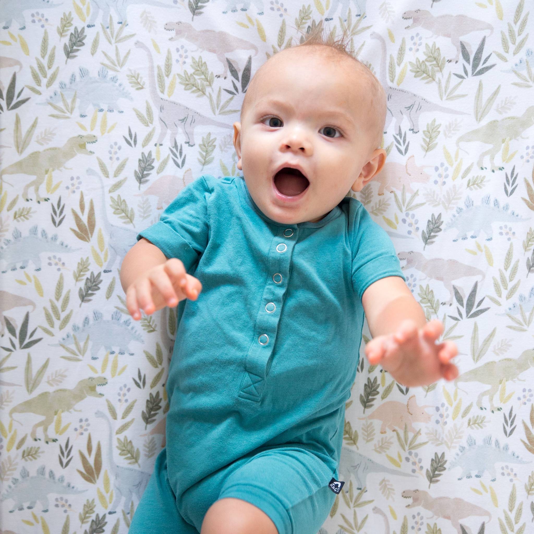 Premium Knit Fitted Crib Sheet - Rex