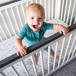 Premium Knit Fitted Crib Sheet - Rex