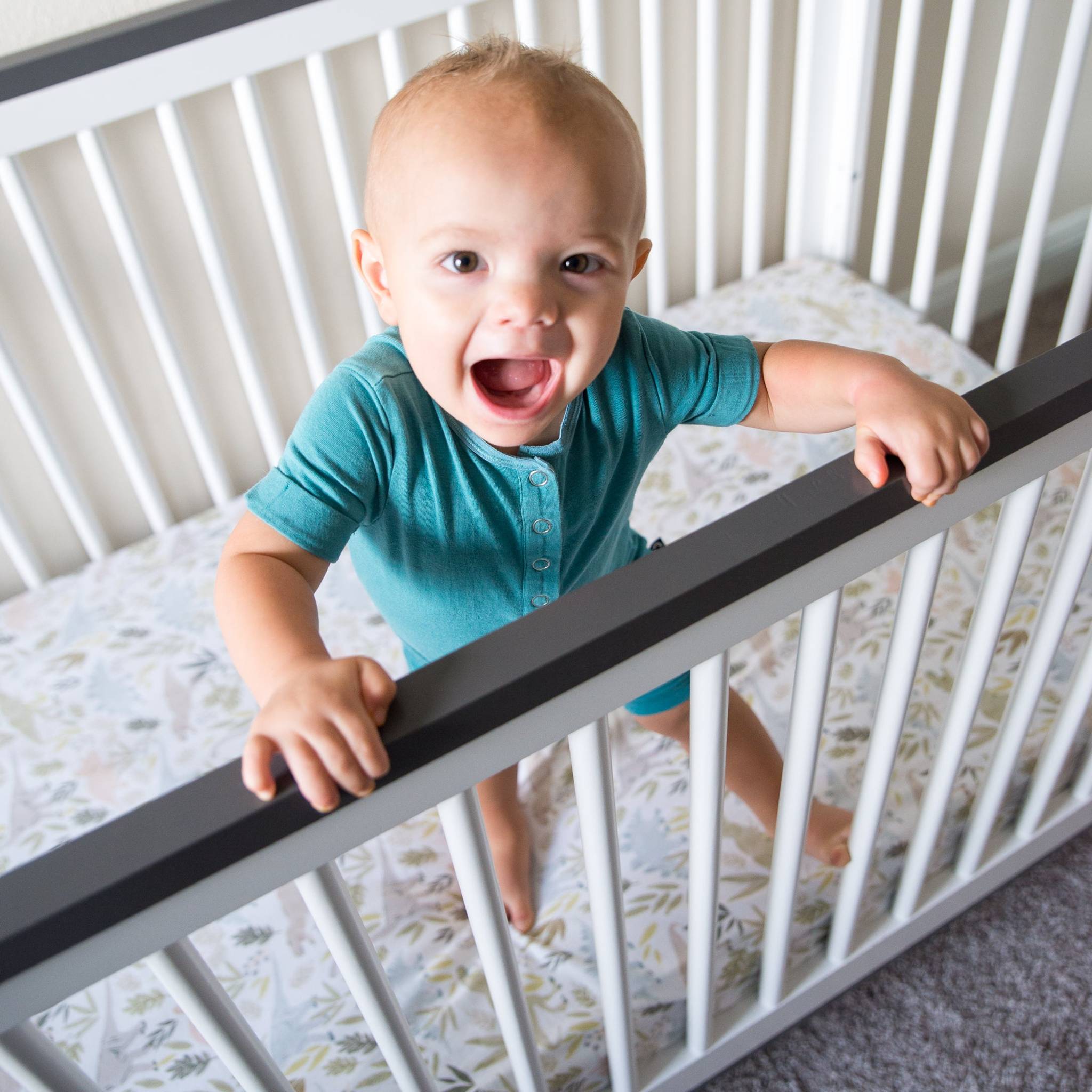 Premium Knit Fitted Crib Sheet - Rex