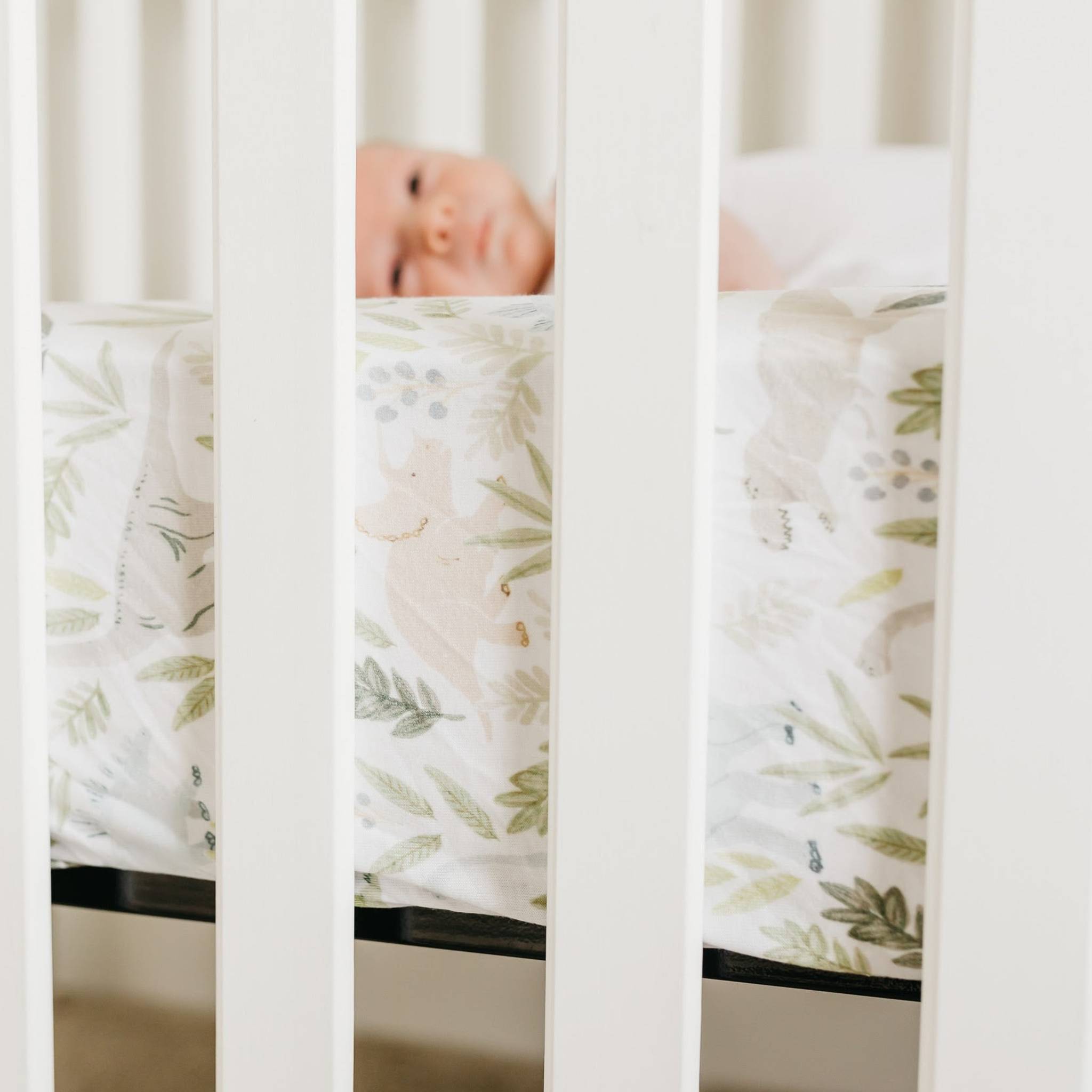 Premium Knit Fitted Crib Sheet - Rex