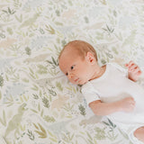 Premium Knit Fitted Crib Sheet - Rex