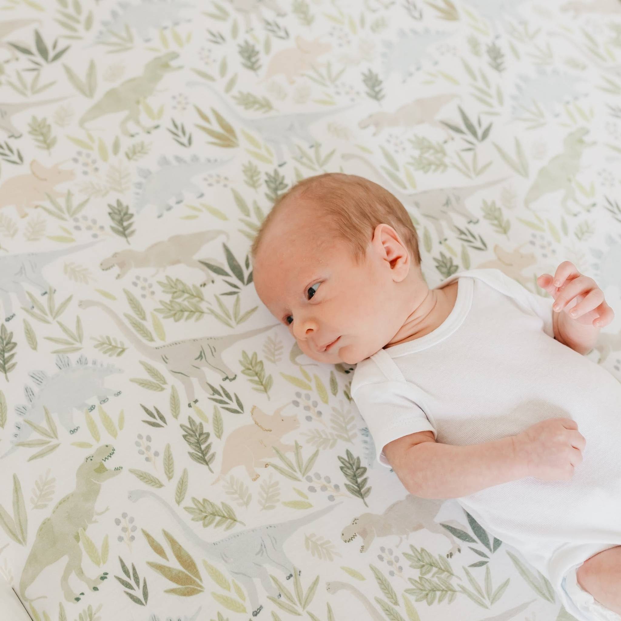 Premium Knit Fitted Crib Sheet - Rex