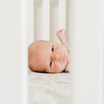 Premium Knit Fitted Crib Sheet - Rex