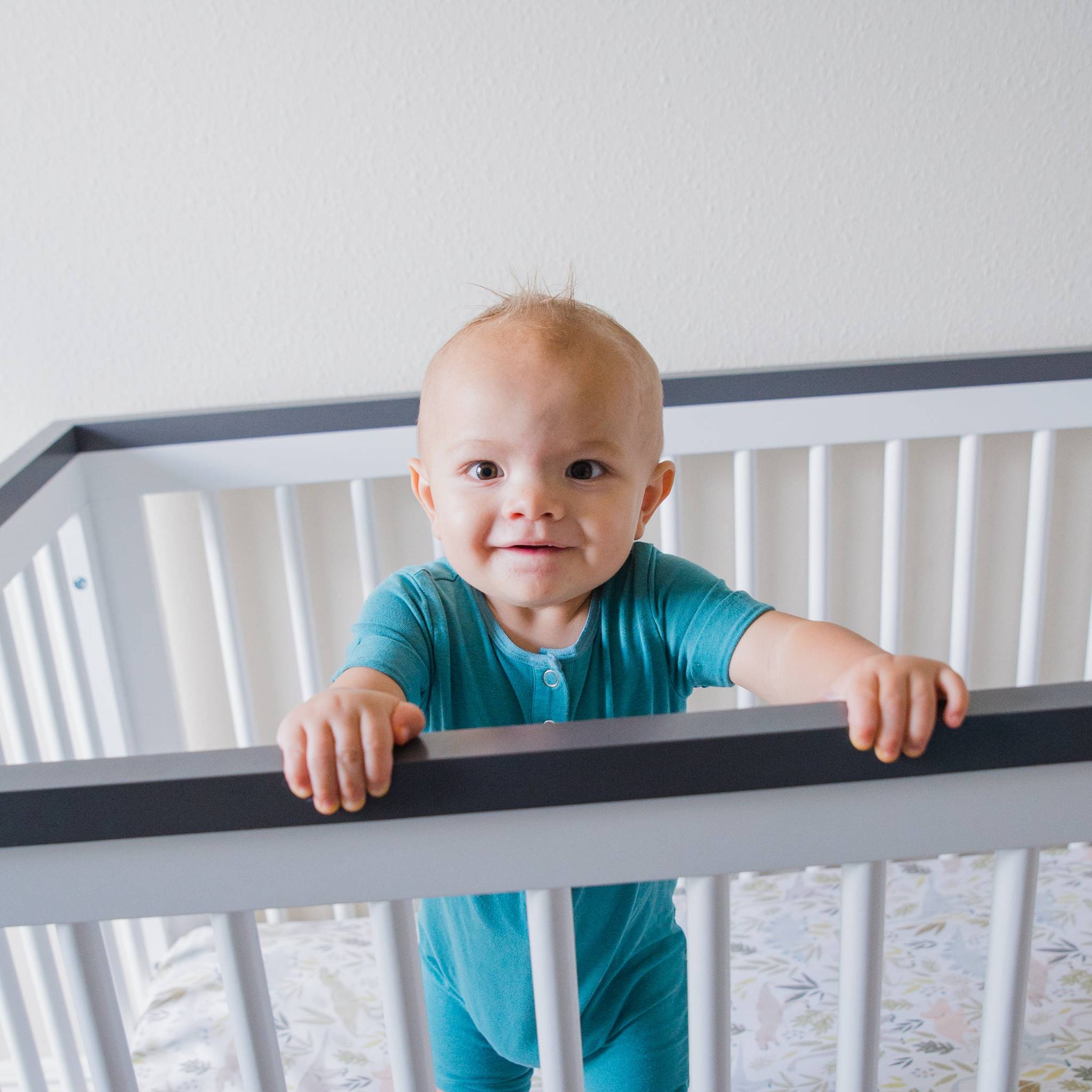 Premium Knit Fitted Crib Sheet - Rex