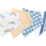 Baby Bandana Bibs - Ryder