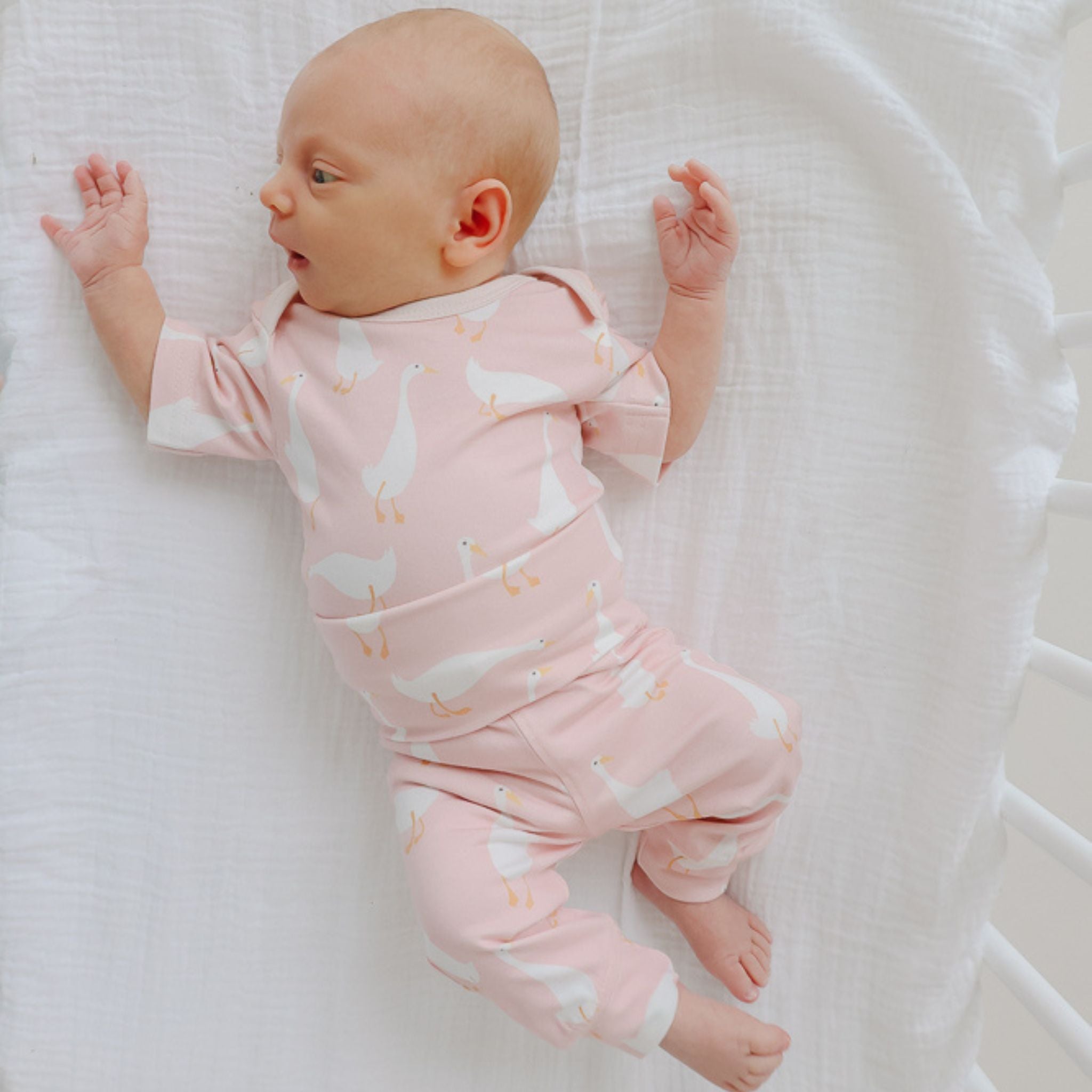 Short Sleeve Bodysuit - Goosie