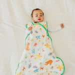 Sleep Bag - Sesame Friends